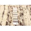 Sienna Taupe Rug 4'10" x 7'0"
