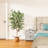 Adcock Artificial Ficus Tree in Pot with Realistic Leaves and Natural Trunk-1524888436