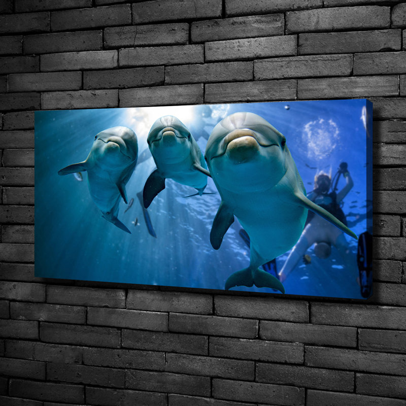 Three Dolphins - Wrapped Canvas Print
