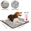 Coussin chauffant pour chien 2 pièces