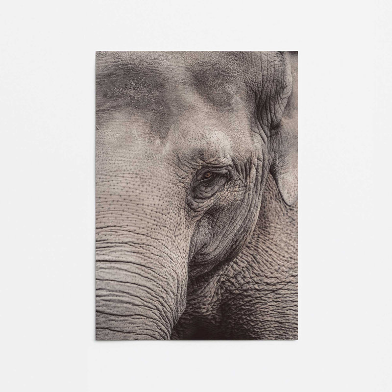 «Wise Gaze Print», dans un cadre,, Papier, H 14 po x l 11 po x P 0,1 po
