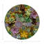 Sous-verres Succulents Evergreen-119015173