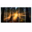 «God Rays Sunshine Through The Forest», art mural en bois de séquoia 5 pièces-821743316
