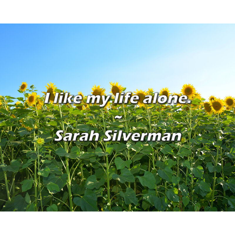 Citation de Sarah Silverman: J'aime ma vie seule., H 26 po x l 32 po