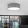 Parvin Flush Mount