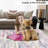 Machine Washable Area Rugs for Living Room Non-Slip Rug Durable Floor Carpet Easy-Cleaning Rug-1265949687