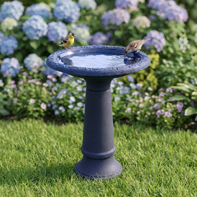 Bain d'oiseaux glacé marbré