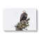 Bald Eagle High In A Tree - Wrapped Canvas Painting