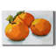 Toile tendue Citrus Grouping I-Gallery-1947073677