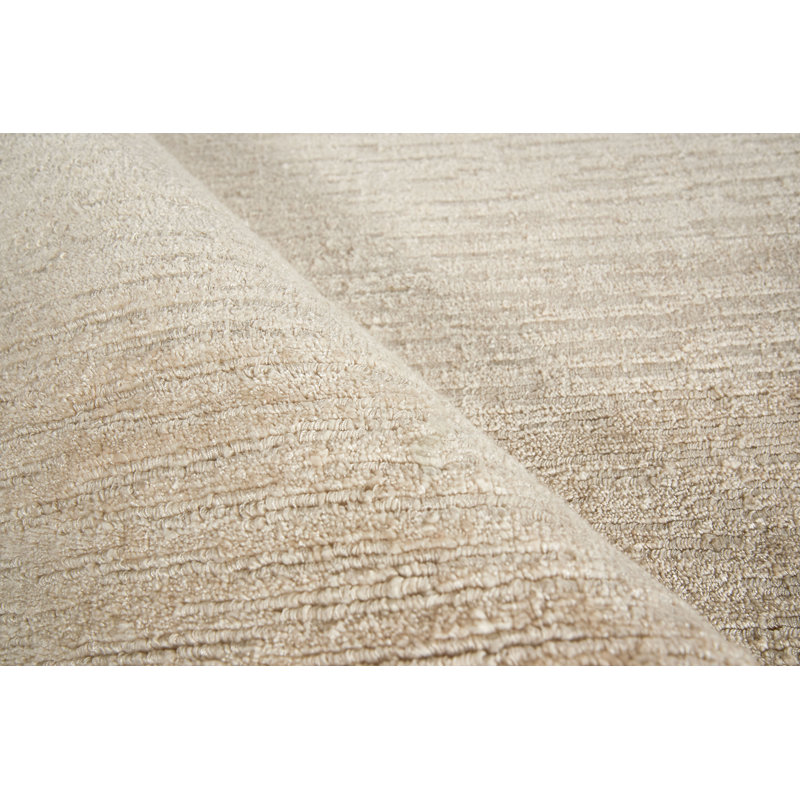 Tangaro Area Rug in Light Beige, Rectangle 9' x 12'
