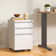 3 Drawer Metal Mobile File Cabinet with Lock for Home Office Fully Assembled