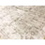 Neo Villa Oriental Area Rug in Gray-106956101