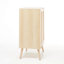Adarra Shoe Storage Cabinet