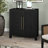 2-Door Accent Cabinet with Adjustable Shelf-173270090