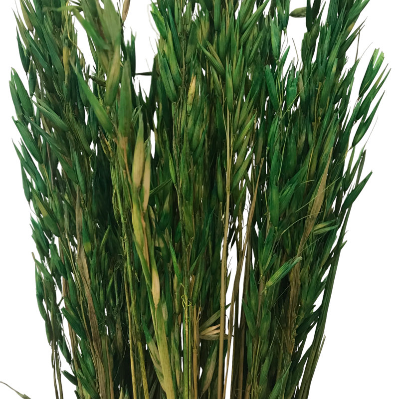 Florida Arrangement, Fresh Grass