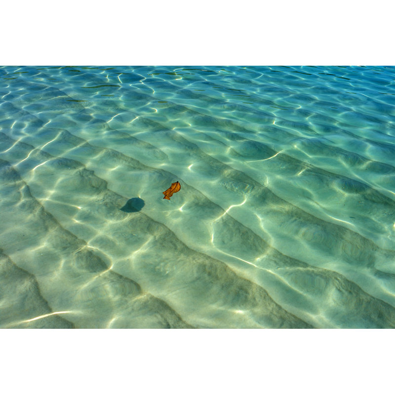 Floating Leaf by Arteparada - Wrapped Canvas Print, 30cm H x 46cm W