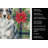 Blue Merle Border Collie Christmas PoinsettIas Kitchen Towel-2080583732