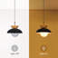 Luminaire suspendu noir à 1 lumière Makrina-765452770