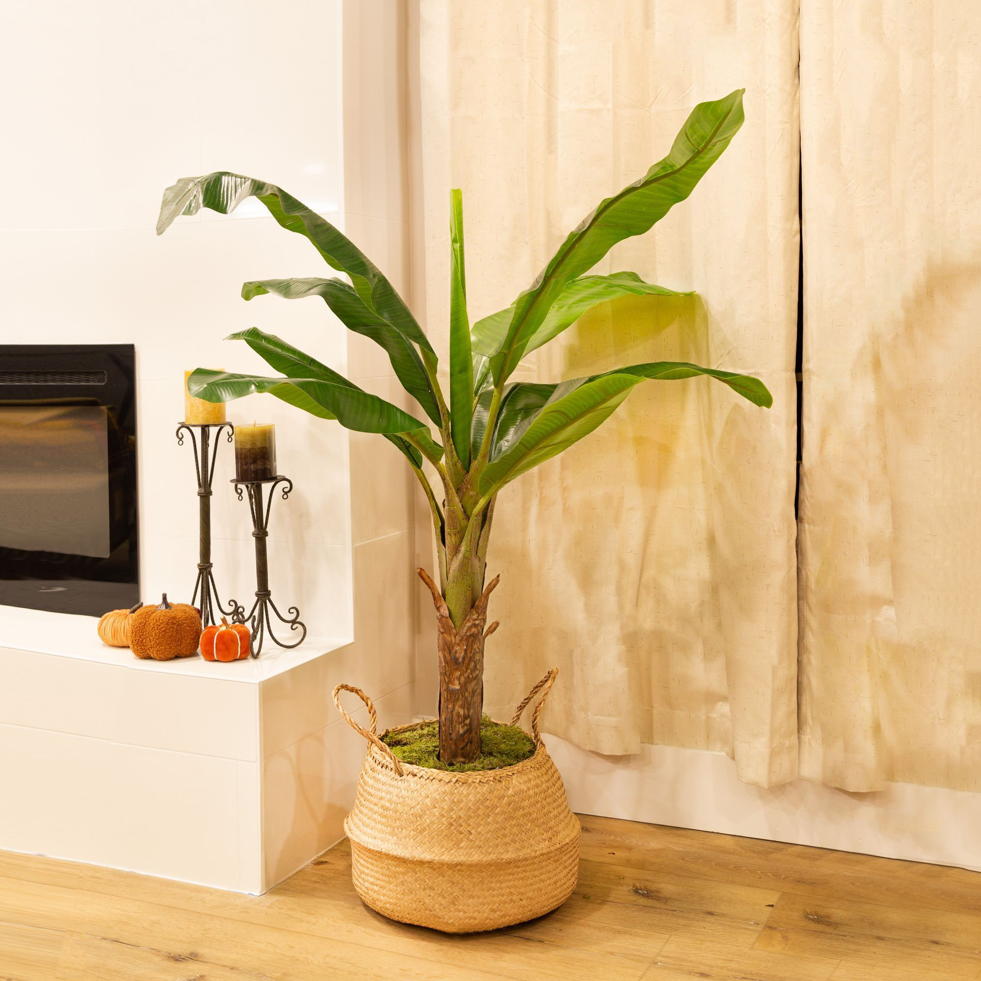 BIRCHCITY 50" Artificial Banana Leaf Tree Faux Potted Banana Tree | Wayfair