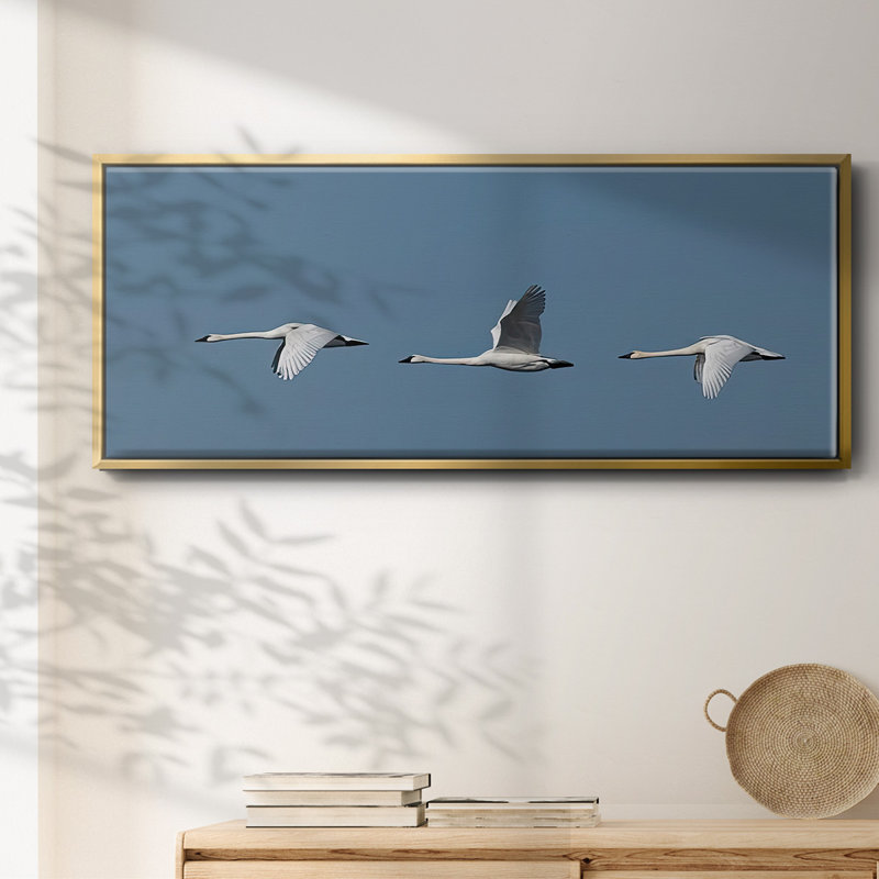 Wing Up Wing down- Framed Canvas