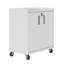 Armoire de rangement en métal avec tablettes réglables Fortress H 31,5 po x l 30 po x P 18,2 po-197101285