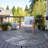 Abstract Rug-656304208