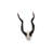 Kudu African Wall Trophies Sculpture