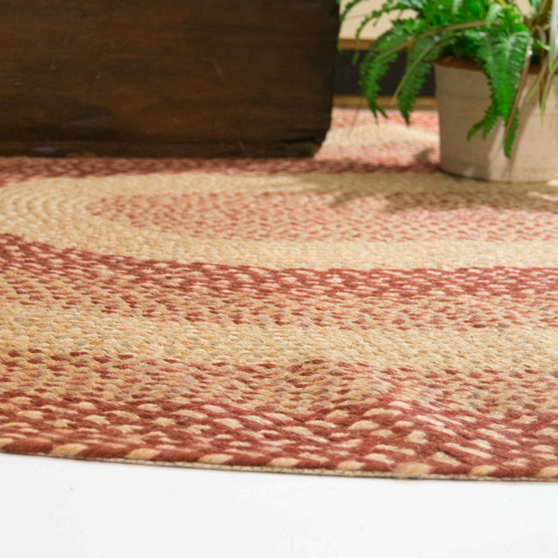 Tapis de zone brun de coton Shriner