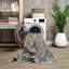 Tapis lavable antidérapant - bleu / vert / mandarine-1880823268