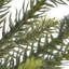 Arbre de pin 3 pi Woodward