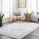Conyers Oriental Indoor Rug