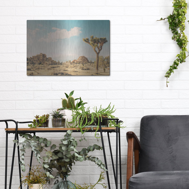 «Winter In The Desert 3» par Myan Soffia, H 12 po x l 16 po