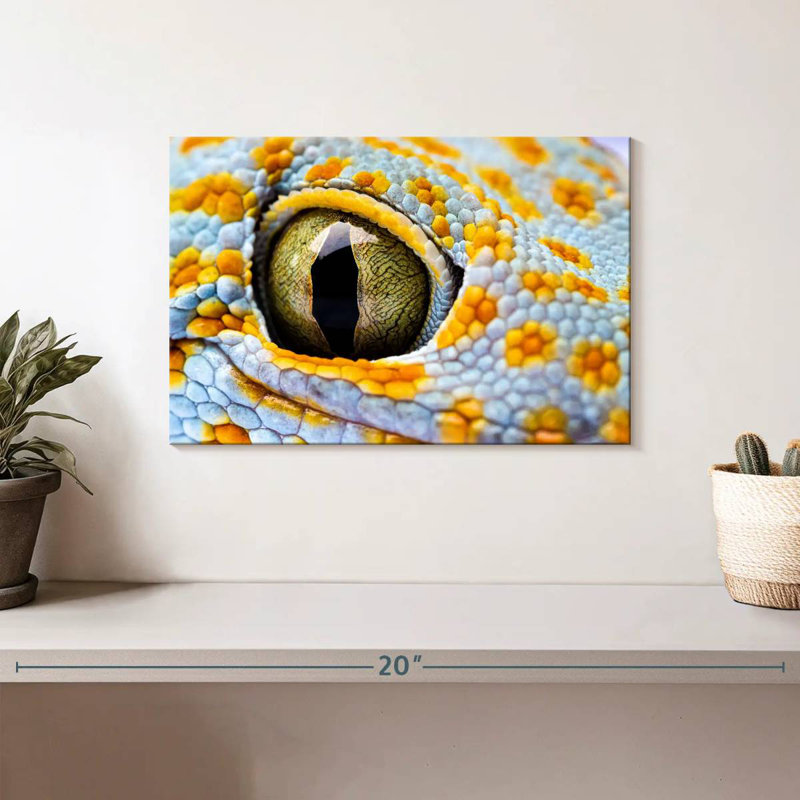 Brampt Gecko Eye