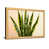 Grain de bois clair n'est pas disponible