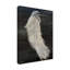 "Aigrette texturée II" par Stellar Design Studio - peinture sur toile tendue-1132272979