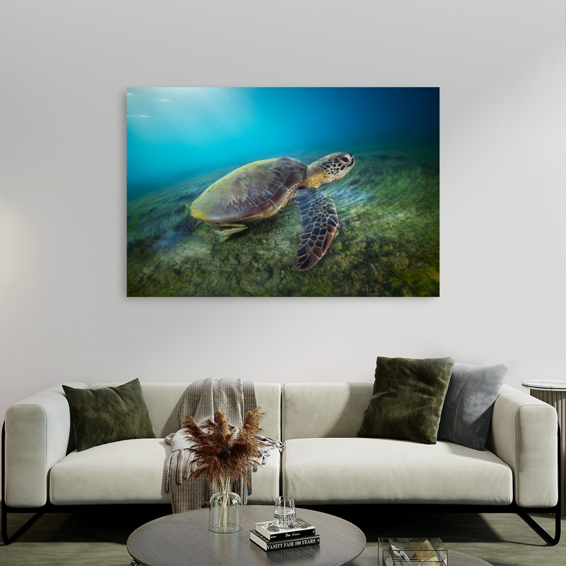 Graceful Sea Turtle Peaceful Serene Tranquil Turtle Nature Ocean Wall Art Print 1 Piece Wrapped Canvas Wall Art