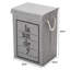 Fabric Laundry Hamper with Handles