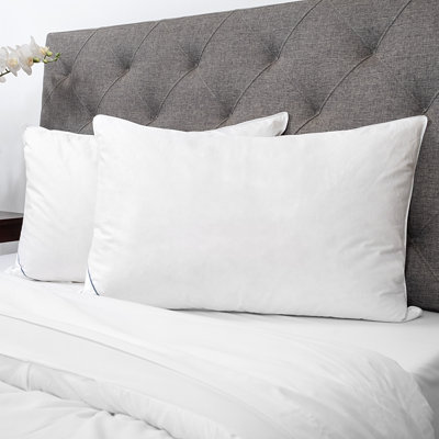 Premium Cotton Bed Pillows for Sleeping, Down & Feather Blend Fill, 2-Pack - Queen SIze