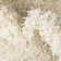 Eginhardt Shag Pure Area Rug