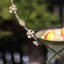 Metal Hanging Decorative Bird Feeder