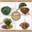 Daisy Arrangement
