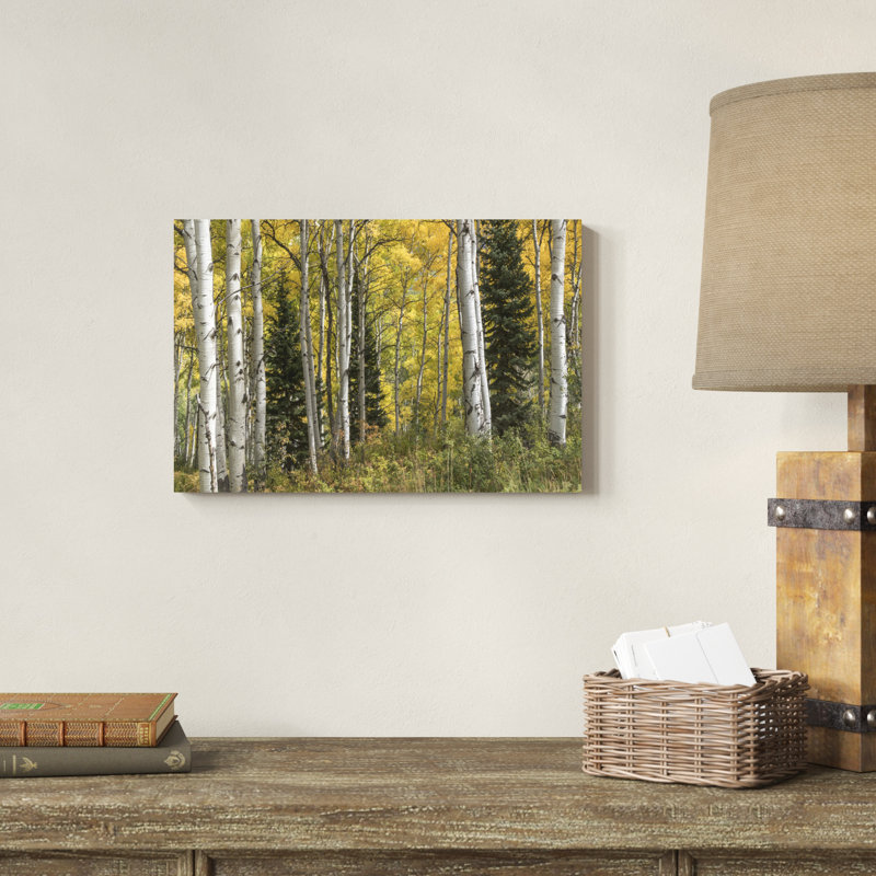 Aspen par Danny Head - peinture sur toile tendue, H 12 po x l 18 po