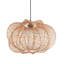 Annamae 1 - Light Natural Novelty Pendant