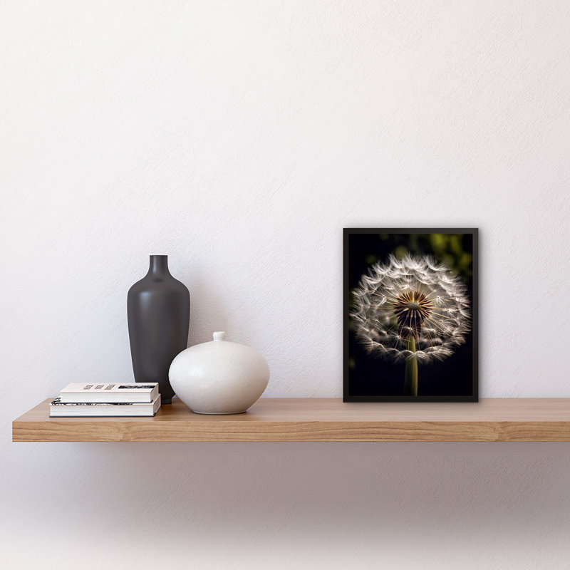 Meagen Dandelion Flower Pappus Macro Dark Close Up Detail - Single Picture Frame Print