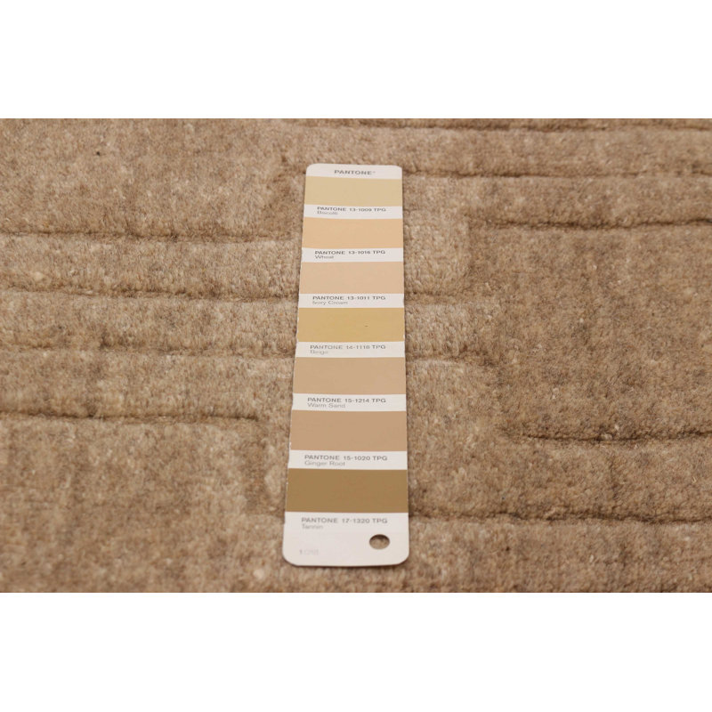 Tapis brun clair Kashkuli 6 pi 6 po x 9 pi 3 po Gabbeh