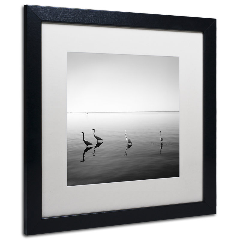 4 hérons-reproduction de photo sur toile encadrée, H 16 po x l 16 po x P 0,75 po