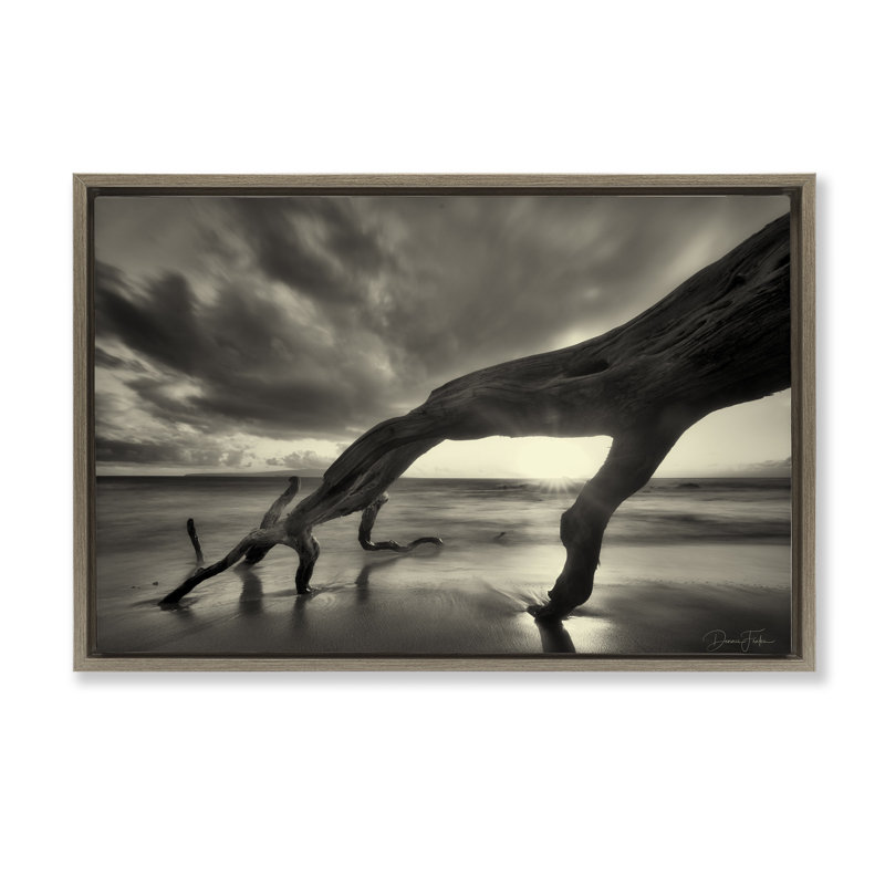 Toile flottante encadrée «Tree Trunk on Shore» par Dennis Frates, Cadre flottant orme Montalcino, H 17 po x l 25 po