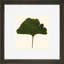 Small Pressed Leaves II Print