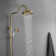 Pressure-Balanced (Temperature And Volume) Complete Shower System