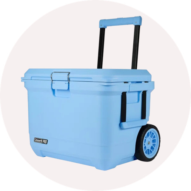 Light blue Coleman Pro wheeled cooler with a telescoping handle and heavy-duty wheels.